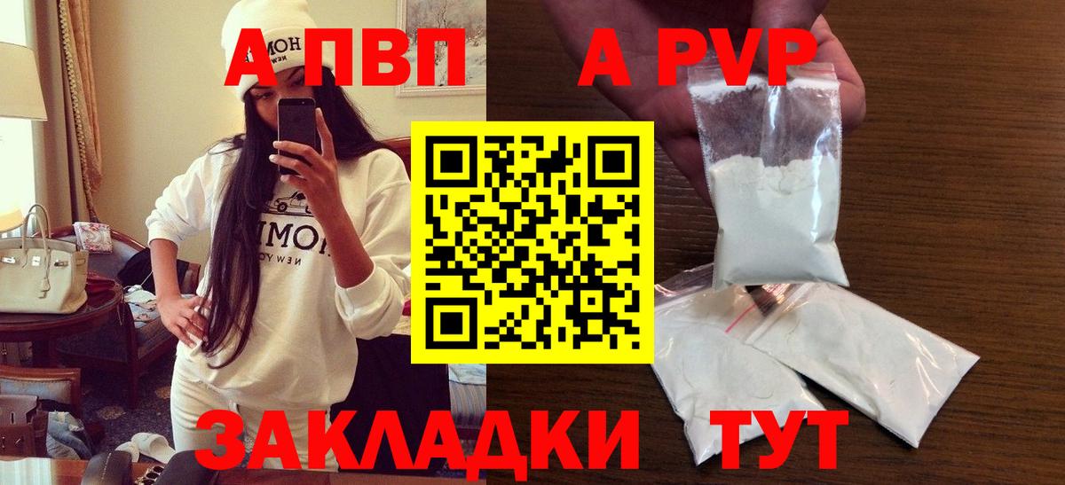 A PVP СК КРИС Белгород