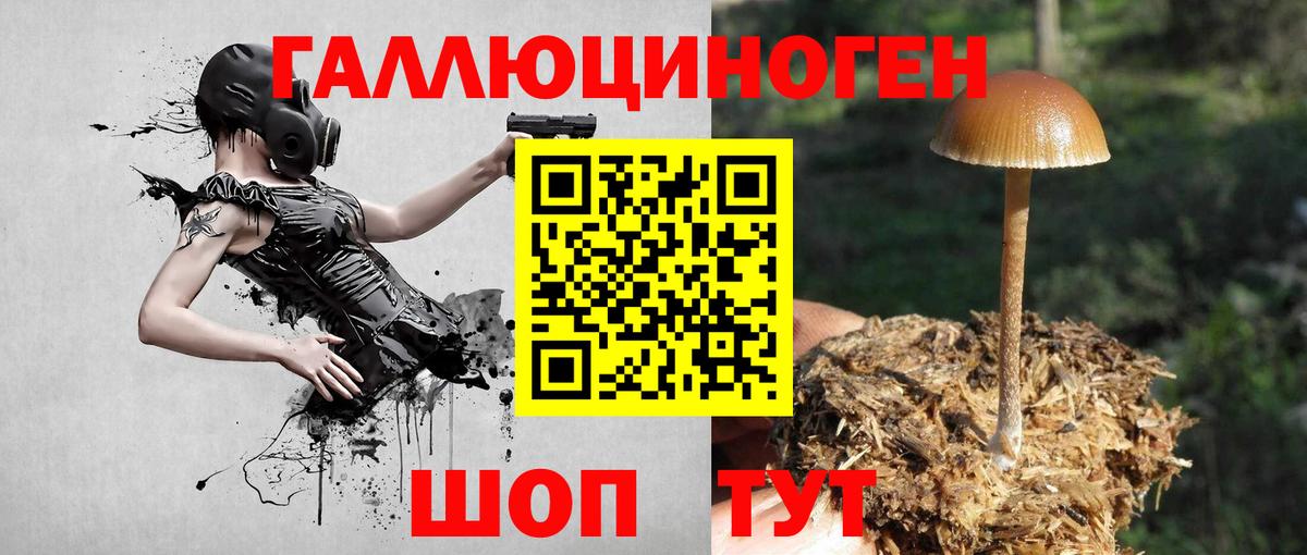 Галлюциногенные грибы мицелий Белгород