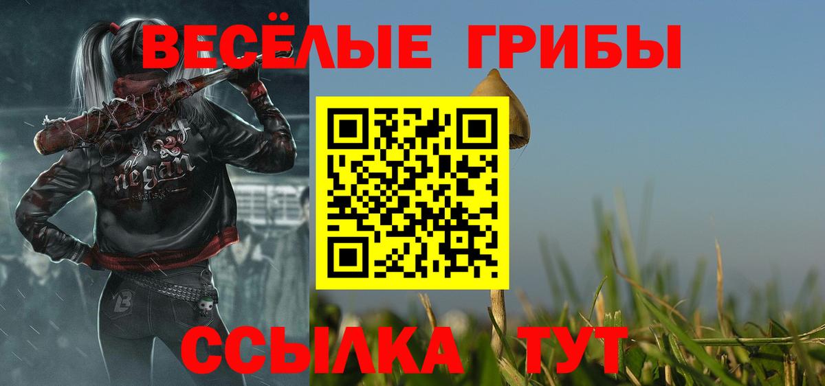 купить   Вход с VPN  Белгород  Галлюциногенные грибы Psilocybe 